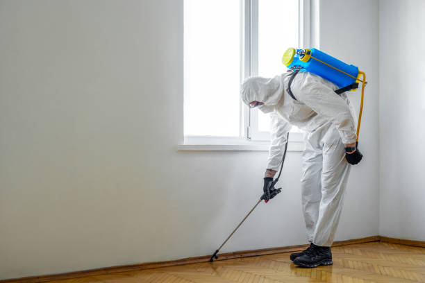 Best Best Pest Control Companies  in Stafford Courthouse, VA