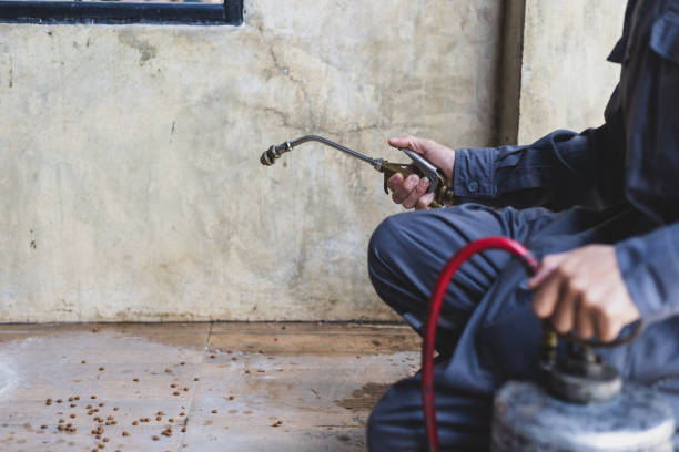 Best Wasp Removal Services  in Stafford Courthouse, VA